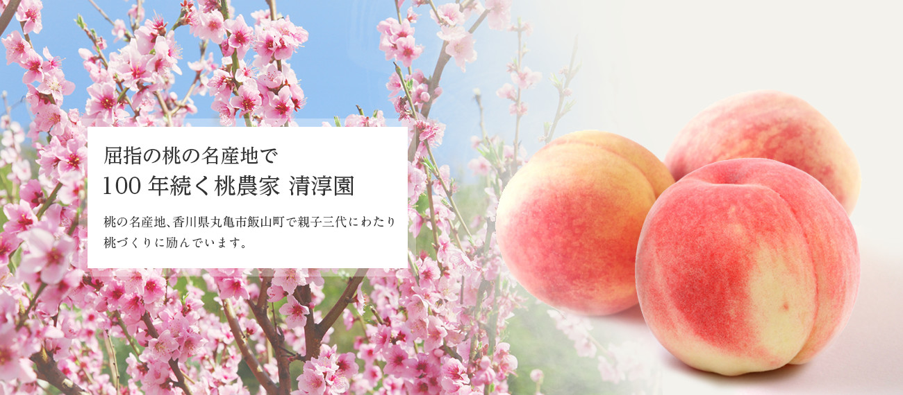 香川県丸亀市で100年続く桃農家 　桃の販売や桃の加工品をお届けします